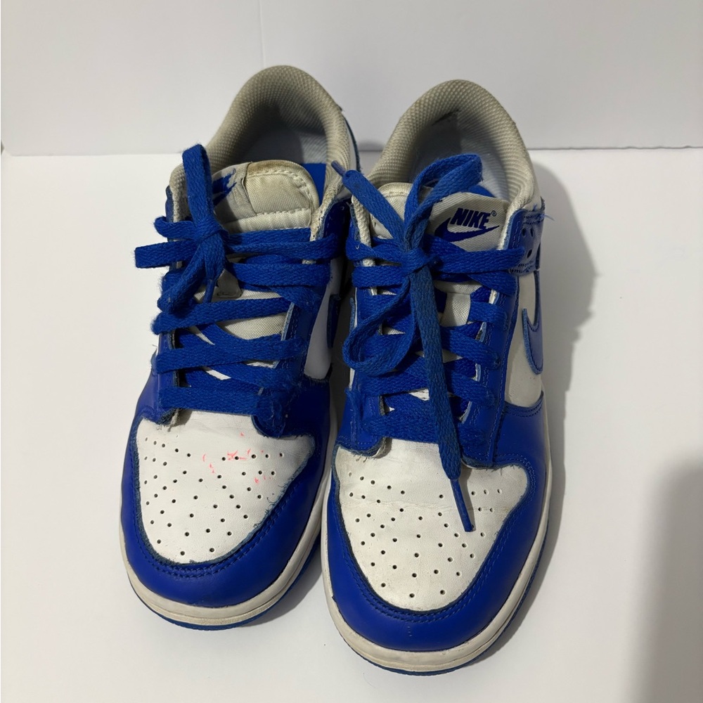 Nike dunk low